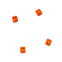 CXLEDRCLTCYpW[i4j ԐF
