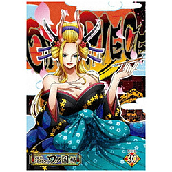 ONE PIECE s[X 20THV[Y m pieceD30 DVD