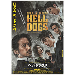 海尔狗通常版DVD