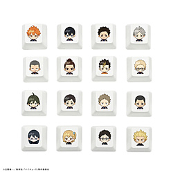 �t���R�� �k�L�[�L���b�v�l�L�[�L���b�v�Z�b�g 16�L�[