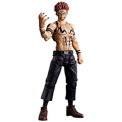 S.H.Figuarts ��p���� �h�T�i�Ĕ̔Łj
