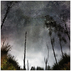 Chihei Hatakeyama/ Ghost Woods