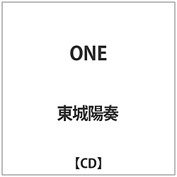 zt / ONE CD