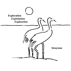 Straytone/ Exploration Exploitation Exploration