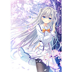 ダ・カーポ5 スイートハピネス ソフマップLIMITED EDITION 特典 D.C.5 Sweet Happiness ～ダ・カーポ5～スイートハピネス 初回版