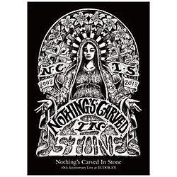 Nothings Carved In Stone / 10th Anniv. Live  DVD