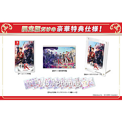 yTΏہz em:Rhodoknight for Nintendo Switch  ySwitchQ[\tgz rbNJO[vTu^肨낵h}CDv