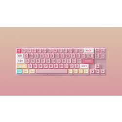 DARMOSHARK Q[~OL[{[h(sbhgK[Ή) KT65 MAX(pz) sN