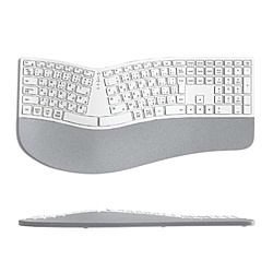 EWIN �G���S�m�~�N�X���C�����X�L�[�{�[�h �z���C�g NKB1301-WH �m���C�����X�n