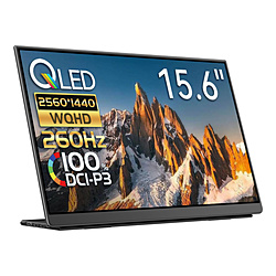 ̑[J[ USB-Cڑ oCj^[ LV[Y(^b`pl) LQHG-156NW m15.6^ /L@EL WQHD(2560×1440j /Ch /260Hzn