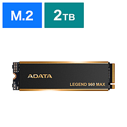 内蔵SSD PCI-Express接続 LEGEND 960 MAX(ヒートシンク付)  ALEG-960M-2TCS ［2TB /M.2］