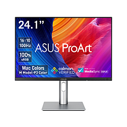 ASUS(�G�C�X�[�X) PC���j�^�[ ProArt Display PA248QV Gen2 PA248QFV �m24.1�^ /WUXGA(1920×1200�j /���C�h /100Hz�n