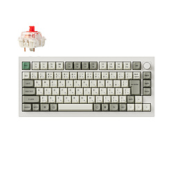 L[N L[{[h Q1 Max(Ԏ) VFzCg Q1M-P1-JIS mLECX /BluetoothEUSB-A{USB-Cn