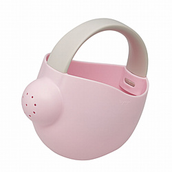 2145�W����FXAP