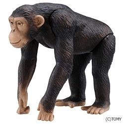 アニア AS-14 チンパンジー