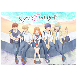 【特典対象】 どうせ、恋してしまうんだ。 DVD BOX Vol．3 ◆メーカー全巻連続購入特典「青春ジャケット絵柄A3クリアポスター(3種からランダム1種)」