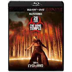 28�N��D�D�D �����̐_�a �u���[���C �{ DVD �Z�b�g