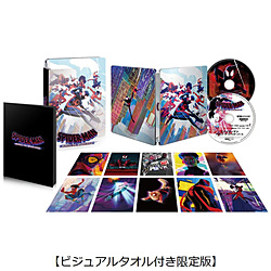 スパイダーマン：アクロス・ザ・スパイダーバース プレミアム・スチールブック・エディション 4K ULTRA HD ＆ ブルーレイセット（ビジュアルタオル付き限定版）【完全数量限定】 BD