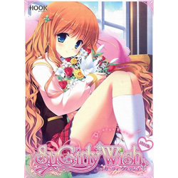 〔中古品〕 SUGIRLY WISH 初回版