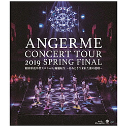 アンジュルム/ ハロプロ プレミアム アンジュルムコンサートツアー2019春ファイナル 和田彩花卒業スペシャル 輪廻転生〜あるとき生まれた愛の提唱〜