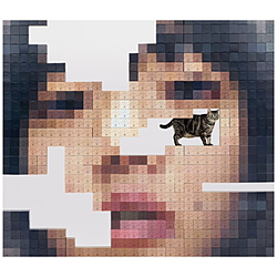 あいみょん/ 猫にジェラシー 初回限定DVD盤