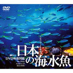 日本的海鱼DVD影像图鉴