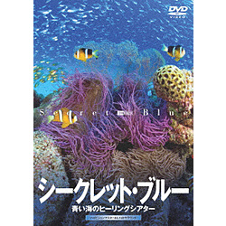 SYNFOREST DVD：秘密·蓝色/蓝色的海的心灵治疗电影院