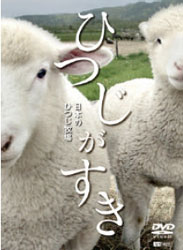 羊喜欢的日本的羊牧场