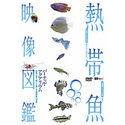 SYNFOREST DVD：愉shimu由于热带鱼影像图鉴虚拟·水族馆影像和声音美丽的热带鱼的世界