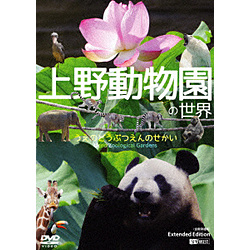 SYNFOREST DVD：上野动物园的世界