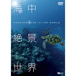 SYNFOREST DVD：海中非常漂亮的景色世界