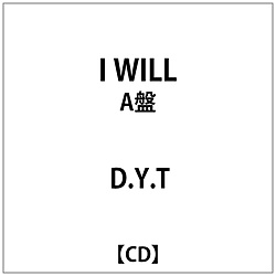 DDYDT/ I WILL A