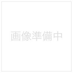 【Nゲージ】20-505 単線高架曲線線路 R249-45°（2本入）