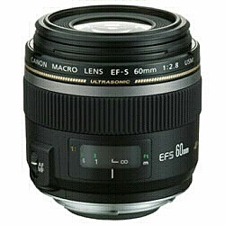 カメラレンズ EF-S60mm F2.8 マクロ USM APS-C用  ブラック  ［キヤノンEF /単焦点レンズ］