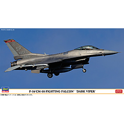 1/48 F-16CM-50 ファイティングファルコン “ダークバイパー”