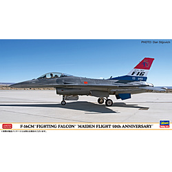 1/48 F-16CM ファイティングファルコン “初飛行50周年記念”