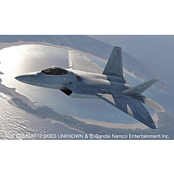 1/48 「エースコンバット7スカイズ・アンノウン」F-22 ラプター　メビウス1(IUN仕様)