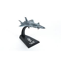 1/200　J-20 ステルス戦闘機 (組立済版)