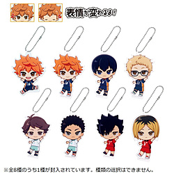 アクドールmini ハイキュー！！【単品】 【sof001】