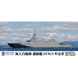 1/700@C㎩q q FFM-5 ͂