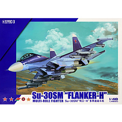 1/48 Su-30SM フランカーH グレートウォールホビー