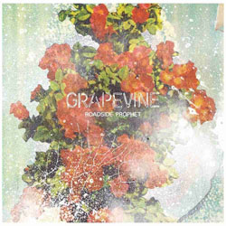 GRAPEVINE/ROADSIDE PROPHET Eʏ�E CD