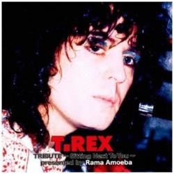 iVDADj/TD Rex Tribute `Sitting Next To You` presented by Rama Amoeba CD