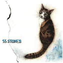 斉藤和義/ 55 STONES 通常盤