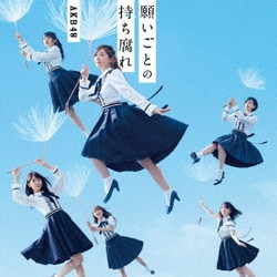 AKB48 / 48thシングル 「願いごとの持ち腐れ」 TYPE B 通常盤 DVD付 CD