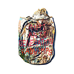 RADWIMPS / ANTI ANTI GENERATION 初回限定盤 DVD付 CD