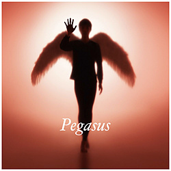 布袋寅泰/ Pegasus 通常盤