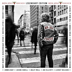 �{���E�W�����B/ �t�H�[�G���@�[�i���W�F���_���[�E�G�f�B�V�����j �ʏ��