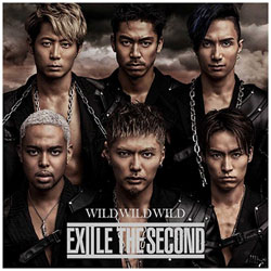 EXILE THE SECOND/WILD WILD WILDiDVDtj CD