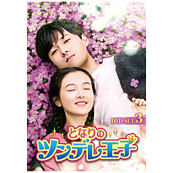 隔壁的傲娇王子DVD-SET3